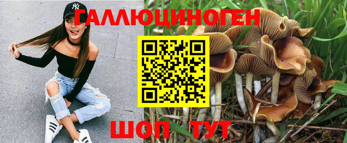 Псилоцибиновые грибы GOLDEN TEACHER  Псилоцибиновые грибы Psilocybe  Михайловск  Вход с VPN 