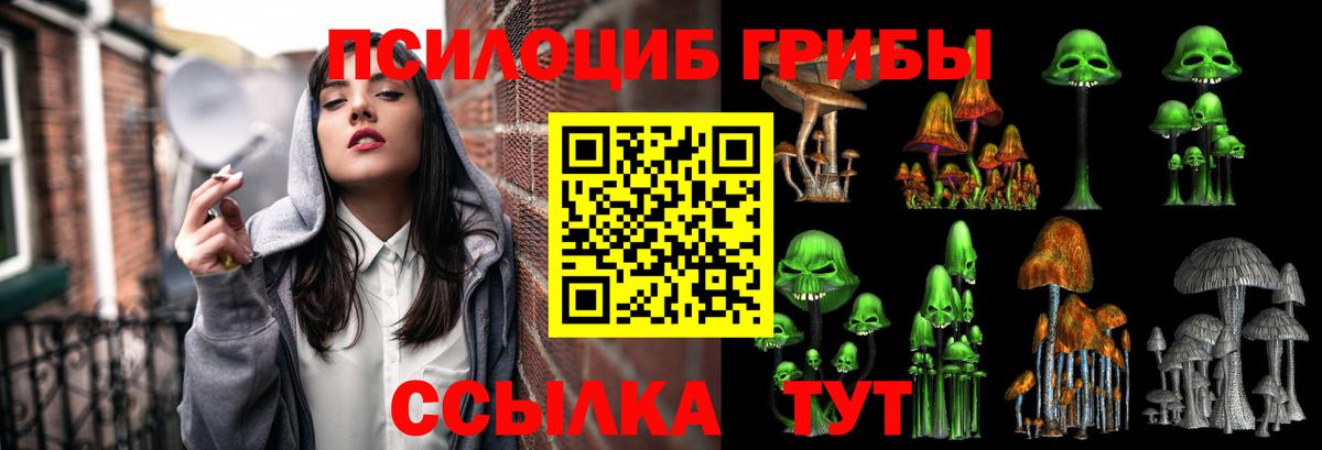 Псилоцибиновые грибы MAGIC MUSHROOMS Михайловск